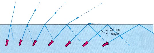 total internal reflection in prism