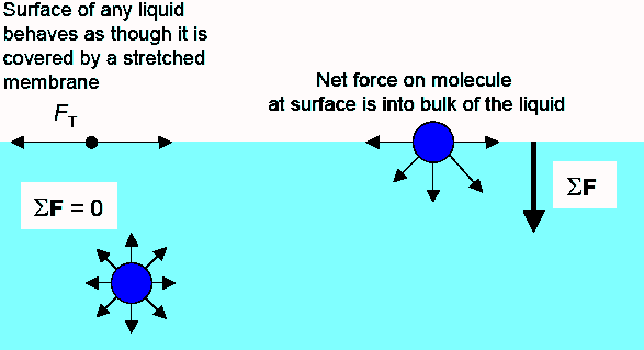 Surface and Interfacial Forces Request PDF