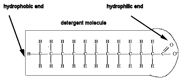 detergent molecule
