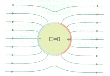 conductor in an electric field